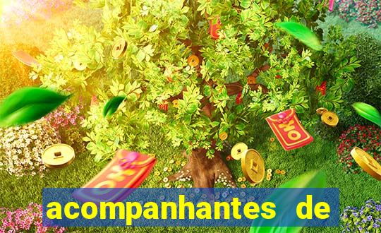 acompanhantes de porto seguro